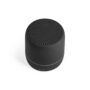 Bluetooth kõlar Turing