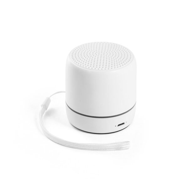 Bluetooth kõlar Turing