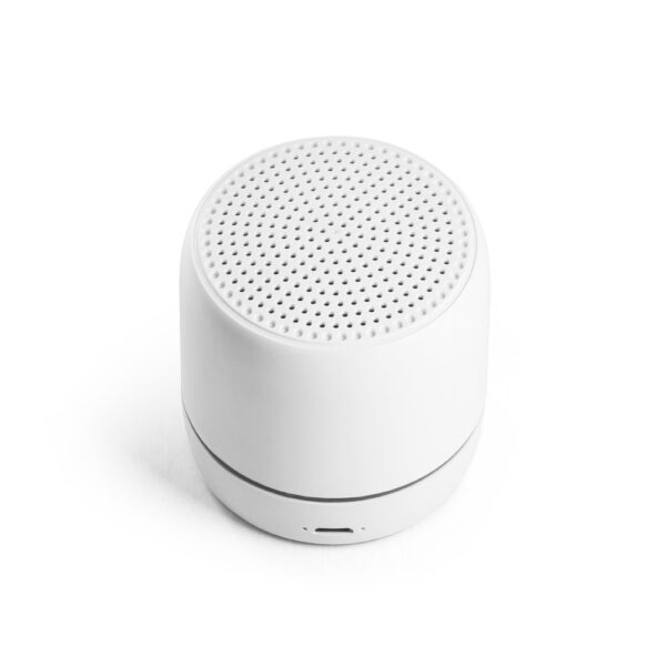Bluetooth kõlar Turing