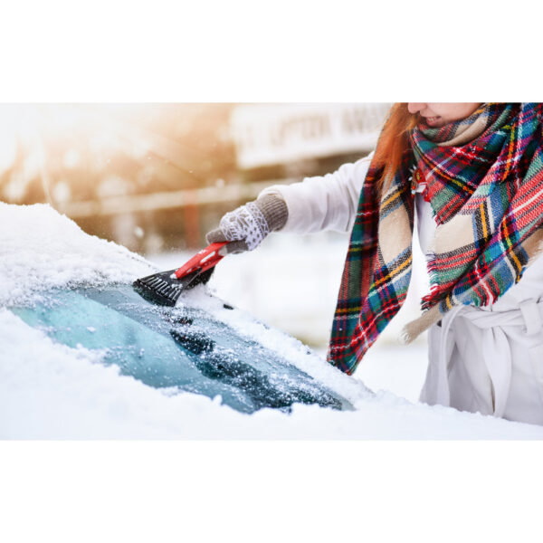 Jääkaabits-lumehari Amigo